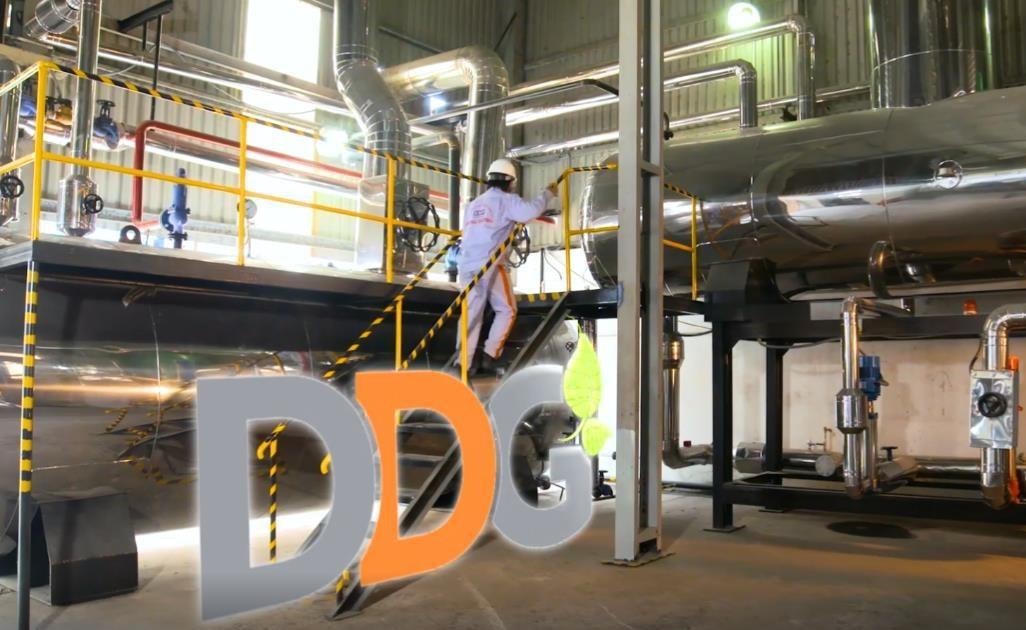 DDG báo lỗ kỷ lục, “trắng” doanh thu trong quý IV/2025