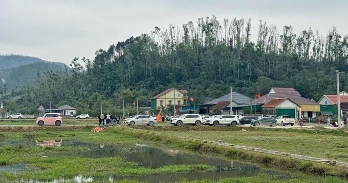 Ăn theo quy hoạch, đất Nghệ An “sóng nhanh, rút gọn”: Trúng đấu giá rồi bỏ cọc