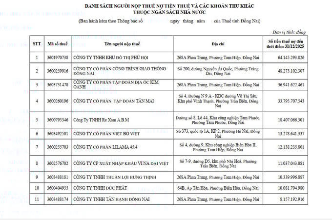 Dấu hỏi về năng lực tài chính của Tập đoàn Tân Mai