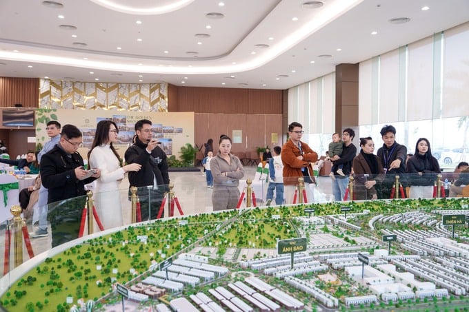 Chuyên gia: “Hải Phòng là địa bàn rất hấp dẫn, lực cầu thực lớn, giá BĐS sẽ đi lên đều đặn và bền vững”