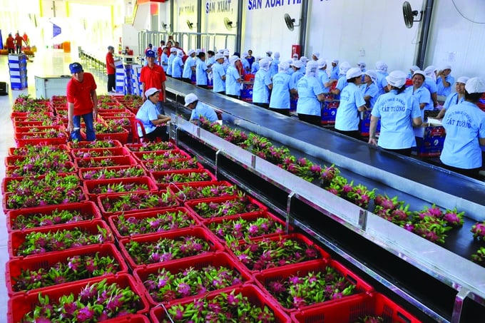 Xuất nhập khẩu 2025 thiết lập kỷ lục lịch sử: Thị trường phục hồi và niềm tin trong năm mới