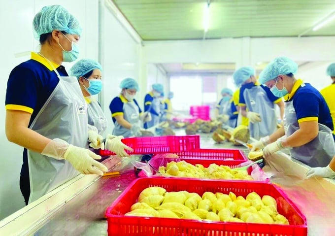 Xuất nhập khẩu phục hồi và niềm tin trong năm mới