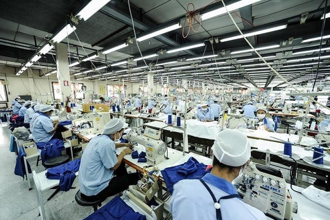 Mở lối nâng cao năng suất và chất lượng sản phẩm từ gốc rễ dòng nguyên liệu