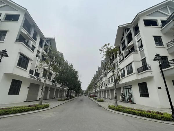 Nghiên cứu lộ trình triển khai các sắc thuế tài sản, phát thải carbon