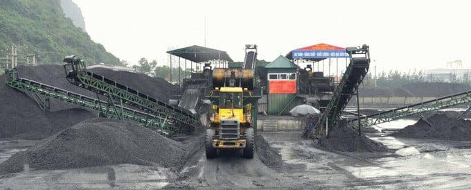 TQM – Đòn bẩy chiến lược nâng cao năng suất và thực tiễn từ doanh nghiệp