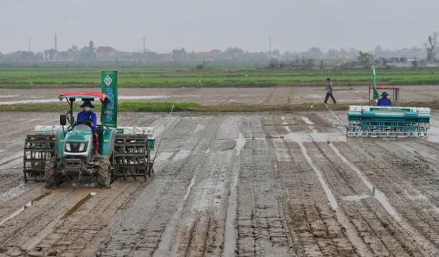 Khi hạt gạo gắn với tiêu chuẩn môi trường và truy xuất nguồn gốc