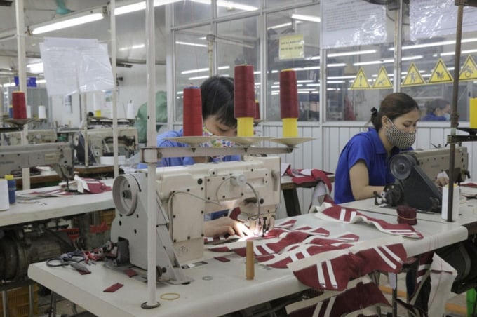 Giày Thượng Đình chuẩn bị “thay máu” HĐQT sau loạt biến động cổ đông