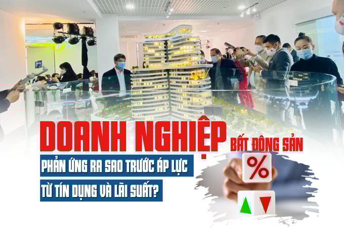 Doanh nghiệp bất động sản phản ứng ra sao trước áp lực từ tín dụng và lãi suất