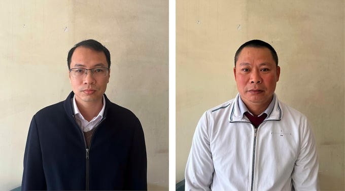 Trốn thuế khi bán 10 căn nhà, 2 cò đất ở bị khởi tố