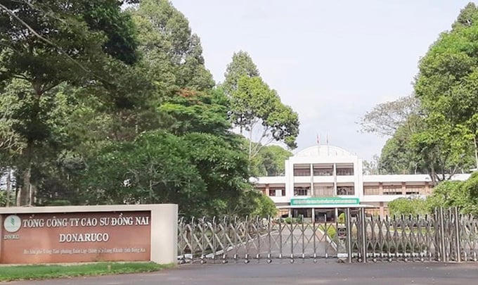 Nhiều sai phạm tài chính tại Tổng công ty Cao su Đồng Nai