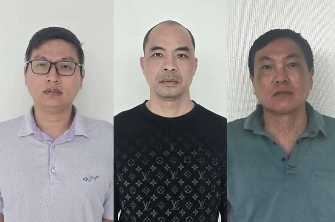 Tuyên Quang: Ba giám đốc trốn thuế hơn 1,8 tỷ đồng