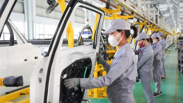 Hướng dẫn cá nhân có thu nhập từ tiền lương, tiền công trực tiếp quyết toán thuế TNCN