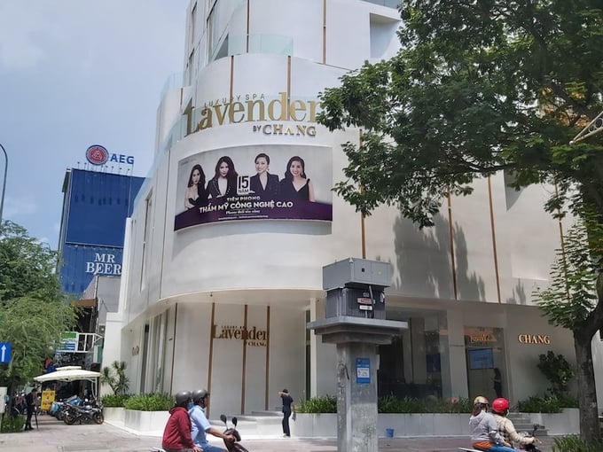 Công ty Lavender Sài Gòn của Lý Thuỳ Chang nợ thuế