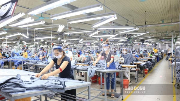 Tiền lương làm ban đêm, làm thêm giờ có được miễn thuế TNCN không?