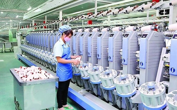 TCM đặt mục tiêu doanh thu gần 4.400 tỷ đồng năm 2026