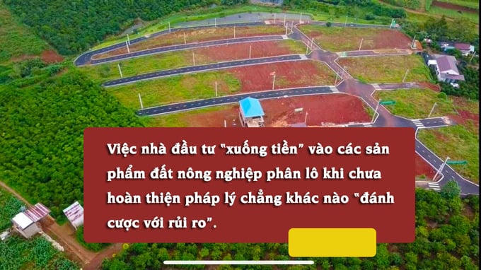 “Phân lô bán nền” đối với đất nông nghiệp, nhà đầu tư đối mặt với rủi ro gì?