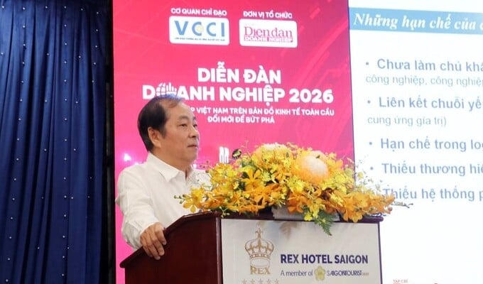 Theo TS Đinh Thế Hiển, để doanh nghiệp Việt có thể tiến xa hơn, cần sự phối hợp đồng bộ của ba trụ cột: Nhà nước, hiệp hội và doanh nghiệp. Ảnh: BTC