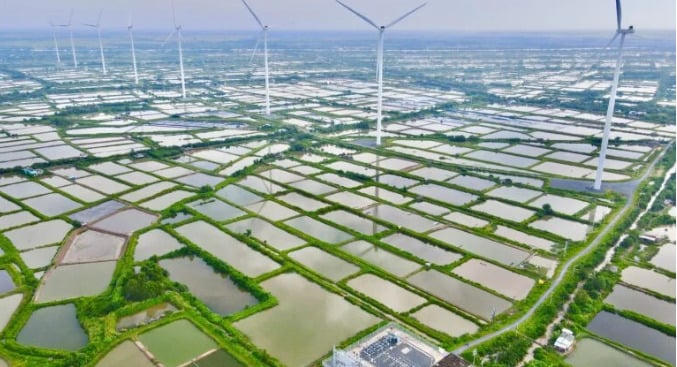 Công ty TNHH Điện gió Hòa Đông 2 tiếp tục chìm trong thua lỗ.