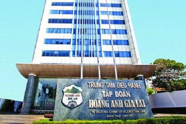 HAGL đặt mục tiêu lãi 4.202 tỷ đồng năm 2026, dồn lực vào cà phê và dâu tằm