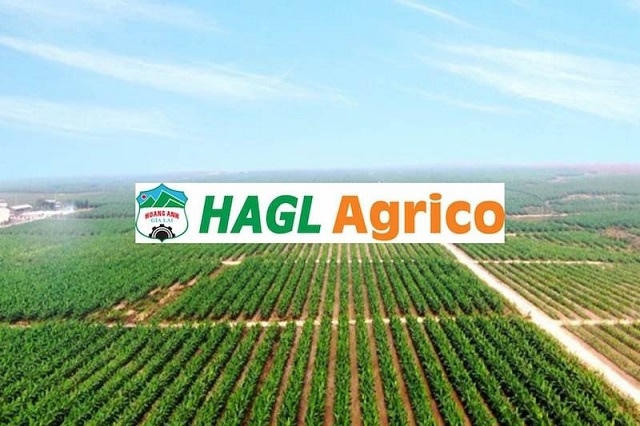 HAGL Agrico (HNG) đổi HĐQT, loạt nhân sự Thaco được đề cử thay thế