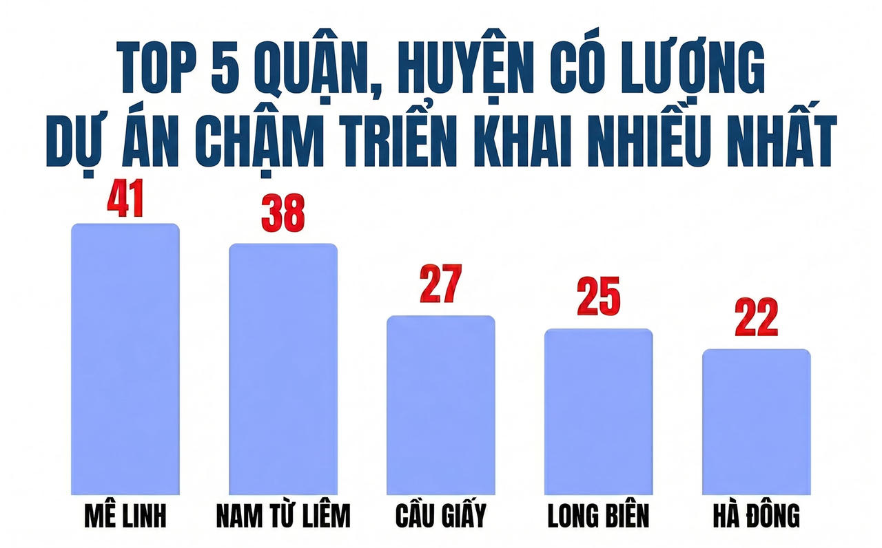341 dự án “đắp chiếu” bị rà soát, loạt doanh nghiệp đình đám Viglacera, Geleximco, Nam Cường, Sudico...bị điểm tên