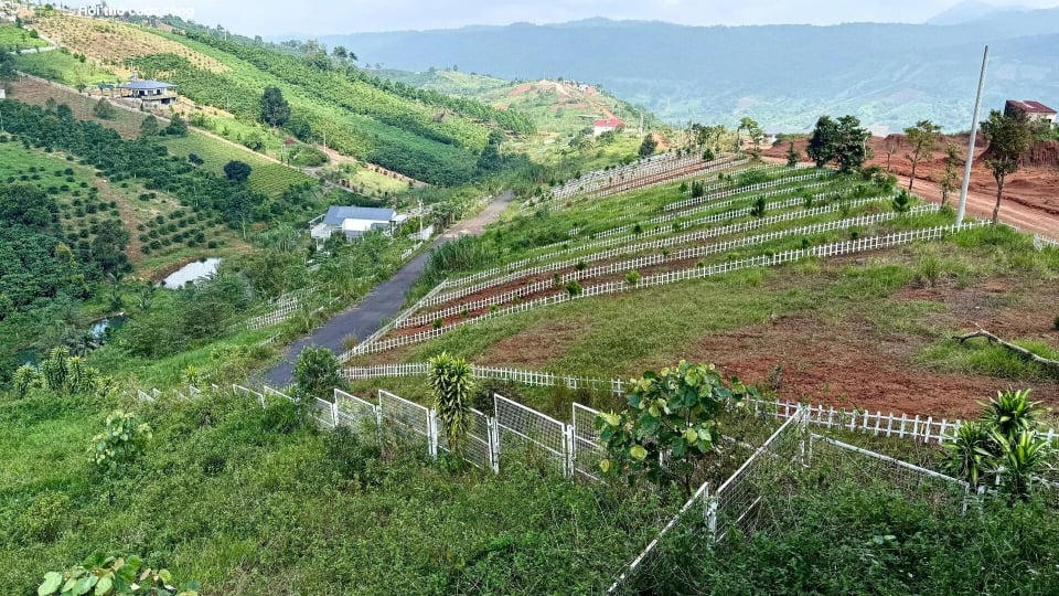 Đất nền vùng ven TP.HCM: rao cắt lỗ 4 năm vẫn khó bán, thanh khoản gần như đóng băng