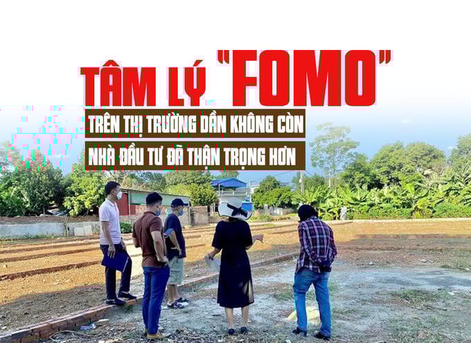 Tâm lý “FOMO” trên thị trường dần không còn, nhà đầu tư đã thận trọng hơn