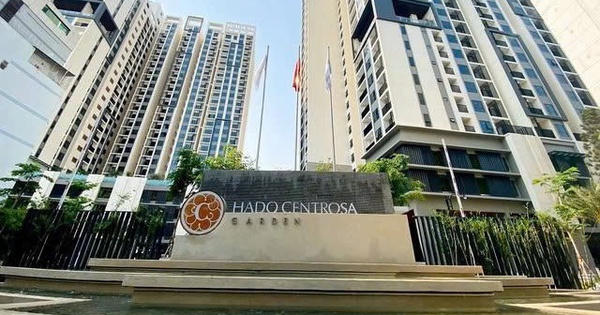 HDG: Người thân TGĐ chỉ mua 300.000/5 triệu cổ phiếu, chuẩn bị ĐHĐCĐ 2025