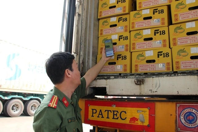 Truy xuất nguồn gốc sầu riêng xuất khẩu bằng tem QR. Ảnh: CTV.