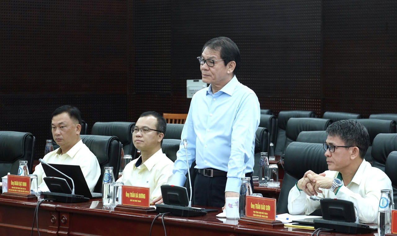 THACO đề xuất dự án 4.600 ha trồng Sâm Ngọc Linh tại Đà Nẵng