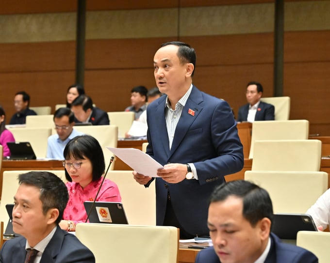 Đại biểu Nguyễn Ngọc Sơn.