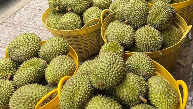 Kim ngạch xuất khẩu sầu riêng đạt con số ấn tượng trong 3 tháng đầu năm 2026. Nguồn: Năng lượng sạch Việt Nam.