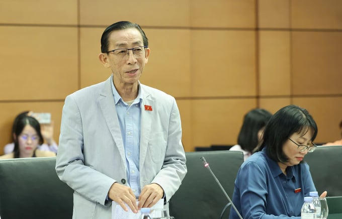 Đại biểu Trần Hoàng Ngân.