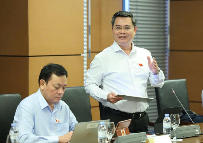 Đại biểu Nguyễn Thanh Tùng (Tp.HCM).