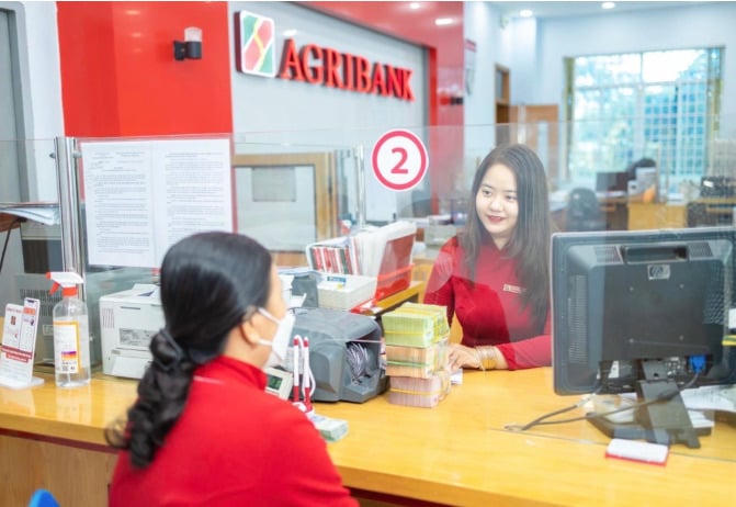 Agribank vượt mốc 100 tỷ USD tài sản, chuẩn bị cổ phần hóa.