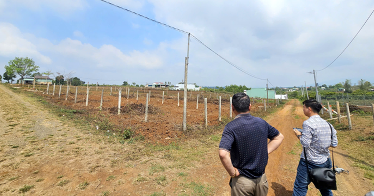 Hãy cẩn trọng với diễn biến phức tạp mua bán đất nền phân lô, lừa sổ đỏ ở Gia Lai