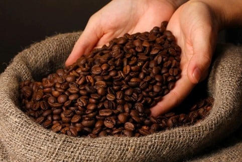 Hạt cà phê Robusta Việt đứng trước cơ hội tái định vị giá trị tại thị trường Bắc Mỹ nhờ ưu đãi thuế quan đặc thù năm 2026. Nguồn: Doanh nhân Sài Gòn.