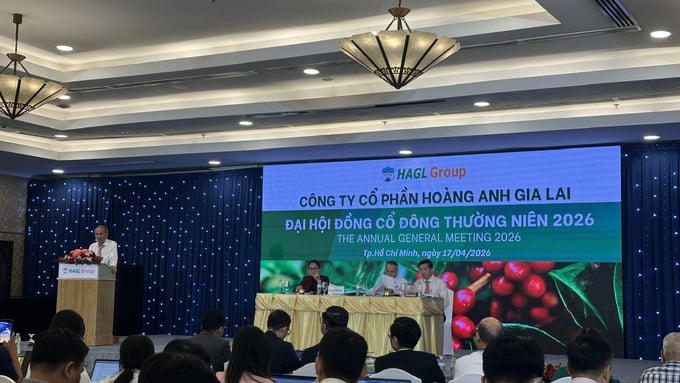 Đại hội đồng cổ đông thường niên 2026 của CTCP Hoàng Anh Gia Lai.