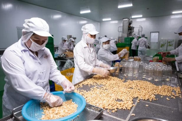 Ảnh điều rang muối, Nguồn: SVC Group.