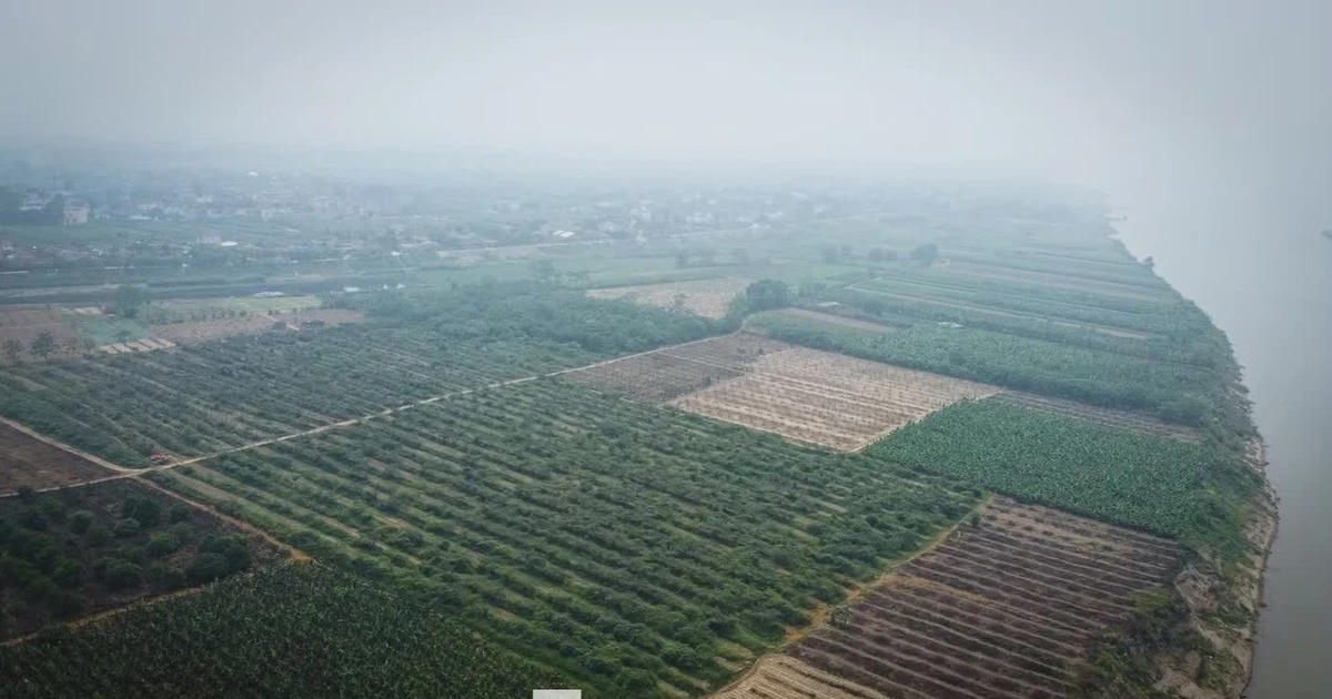 119 hộ dân xã Quảng Oai kiến nghị về đất bãi giữa sông Hồng