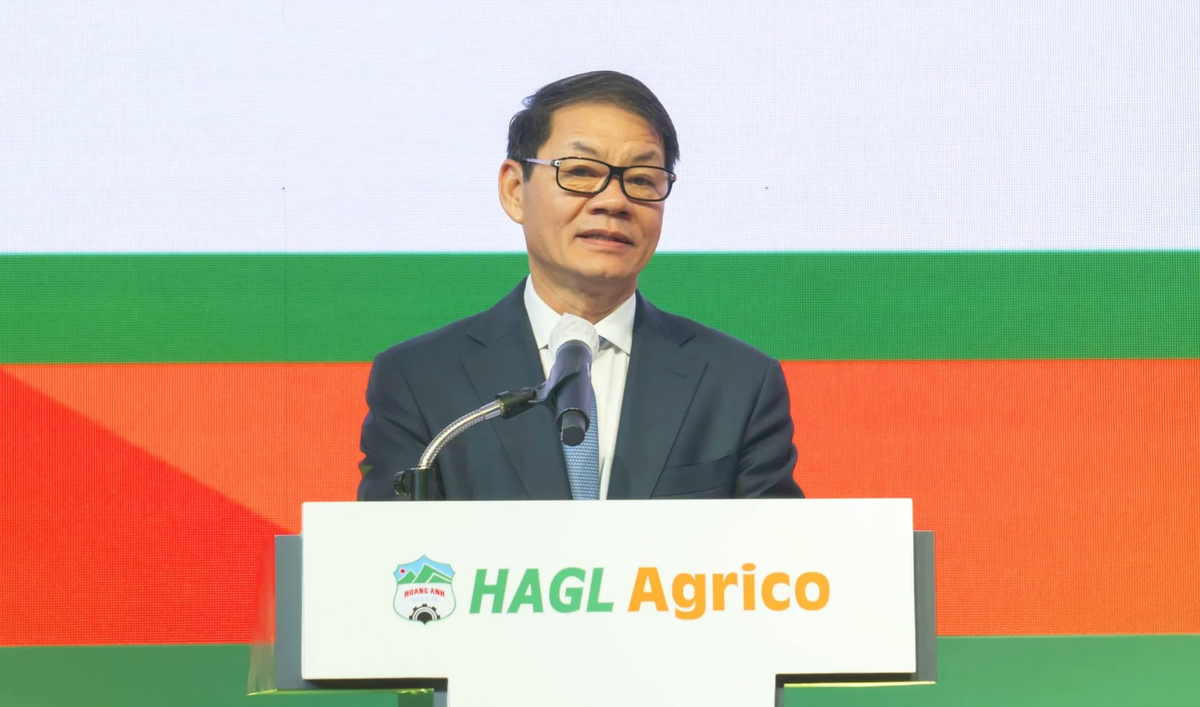 HAGL Agrico (HNG) dự kiến bán 20% vốn, lỗ lũy kế 10.371 tỷ