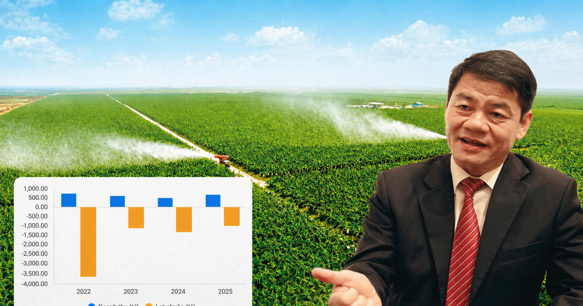 HAGL Agrico lỗ lũy kế gần 10.400 tỷ, cần 3-4 năm để xử lý