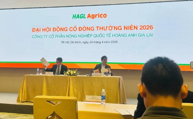 ĐHCĐ thường niên 2026 của HAGL Agrico.
