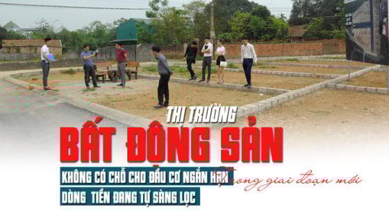 Thị trường bất động sản trong giai đoạn mới: Sàng lọc để tìm về những giá  trị bền vững
