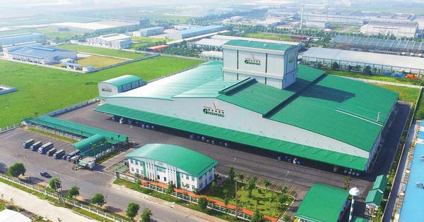 Greenfeed Việt Nam lãi ròng gần 3.656,9 tỷ đồng trong năm 2025
