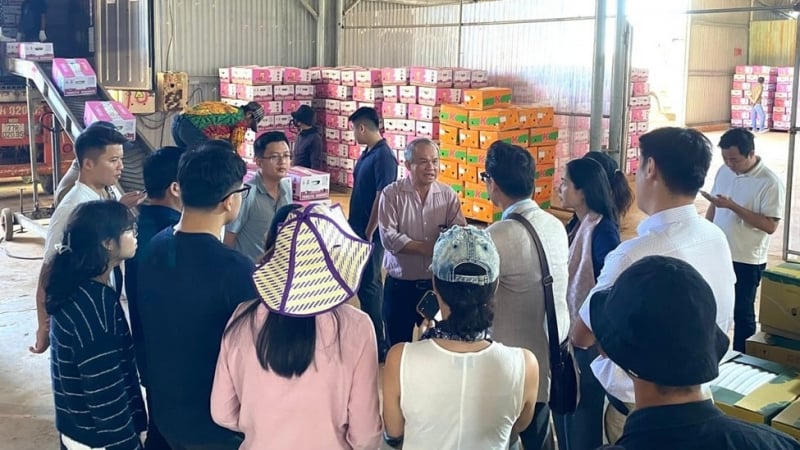 "Mổ xẻ" tài chính HAGL quý I/2026: Lãi lớn hơn 1.100 tỷ đồng từ đâu