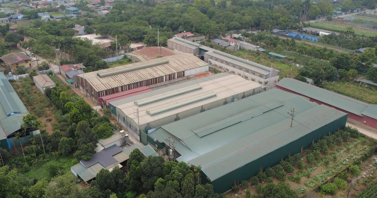 Nhà xưởng trên đất nông nghiệp Quốc Oai: Người dân lo cháy nổ, ô nhiễm