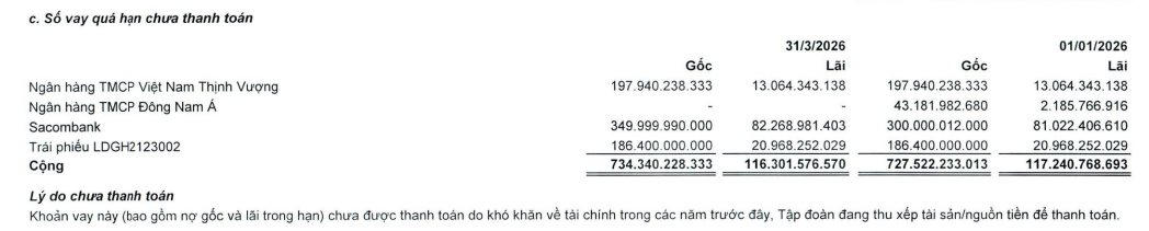 LDG bị MB phong tỏa gần 1.600 tỷ, nợ quá hạn VPBank và Sacombank  643 tỷ đồng