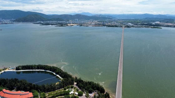 Vietravel trúng đấu giá hơn 5,8 ha đất du lịch giáp đầm Thị Nại