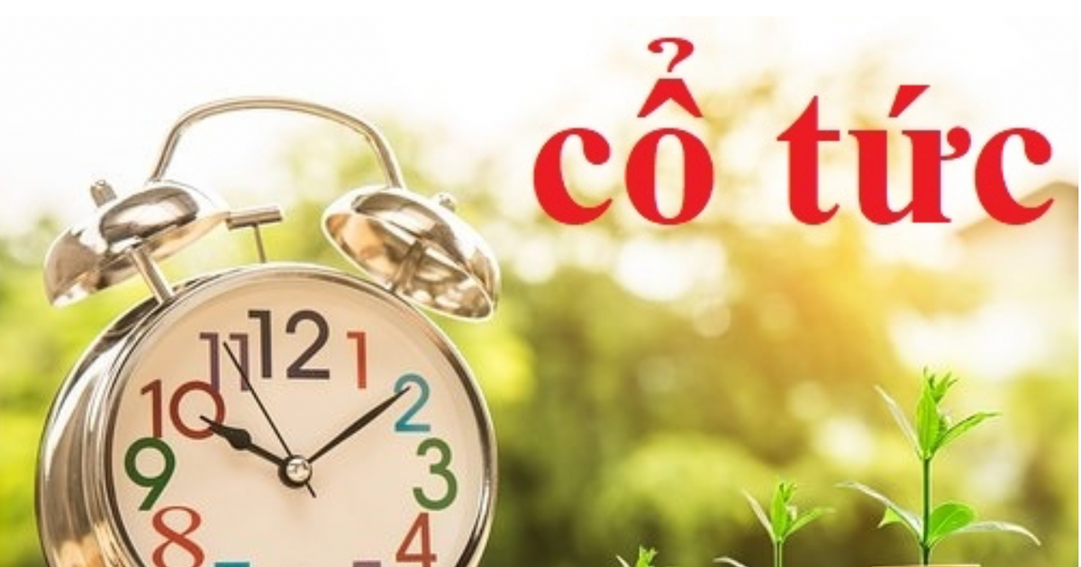 SIP dự kiến chi gần 968 tỷ đồng trả cổ tức tiền mặt tỷ lệ 40%